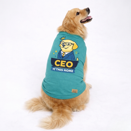 Collection image for: Dog t-shirts