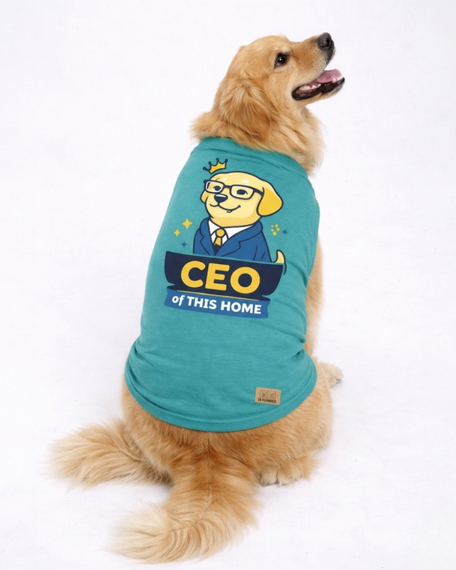 CEO of This Home Tee