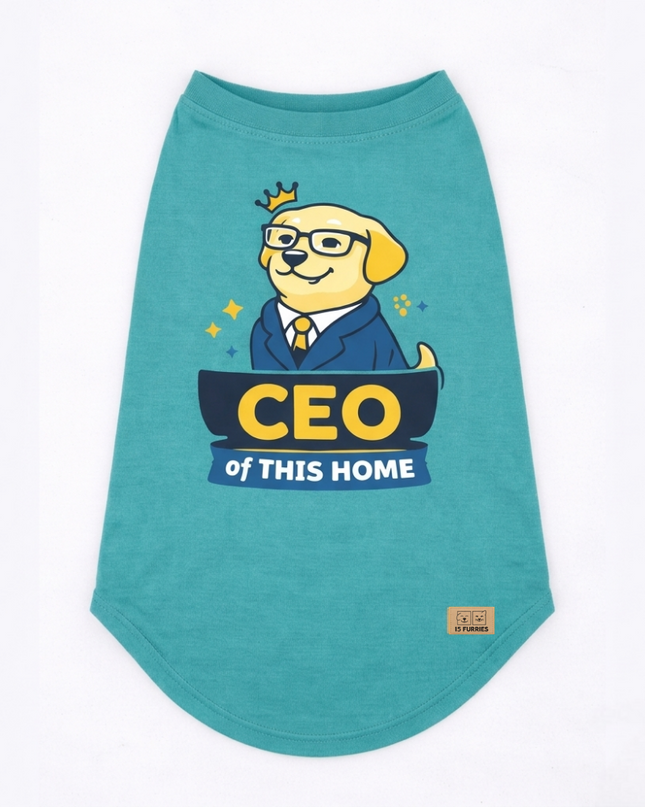 CEO of This Home Tee
