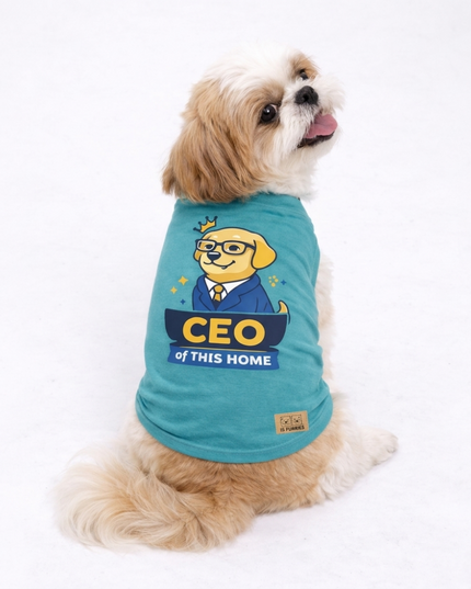 CEO of This Home Tee