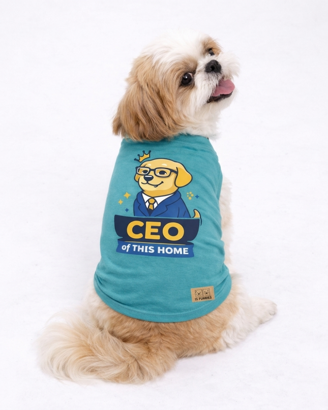 CEO of This Home Tee