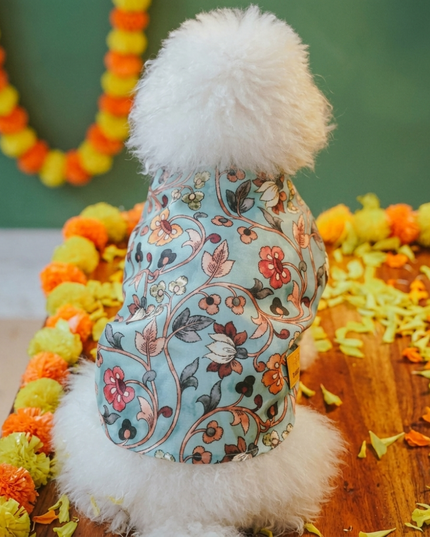 RANGREZ DOG KURTA