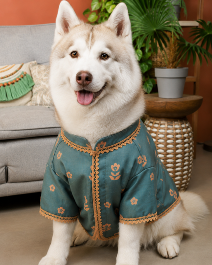 KHWAISH DOG KURTA