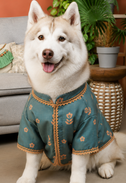 KHWAISH DOG KURTA