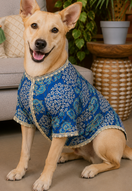 Shaan Dog Kurta