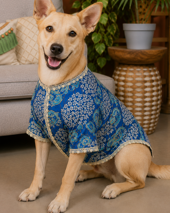Shaan Dog Kurta