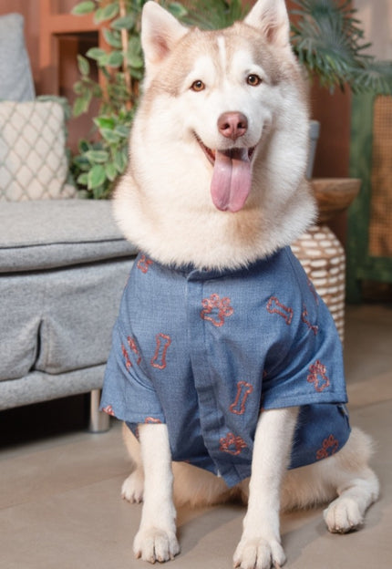 Collection image for: Dog Indian Kurtas
