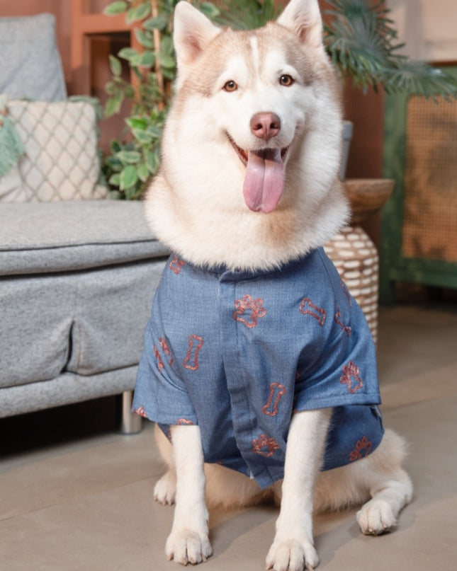 DESI DENIM DOG KURTA- INDIGO