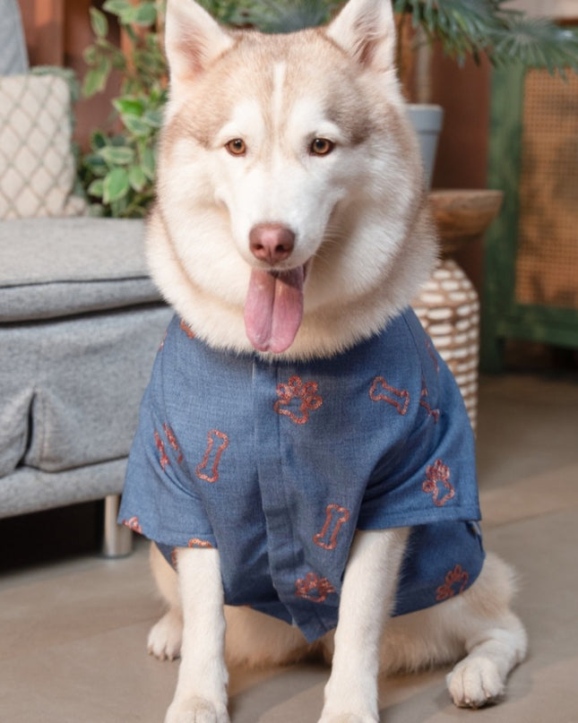 DESI DENIM DOG KURTA- INDIGO