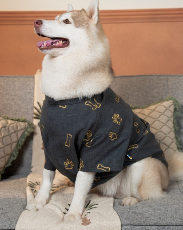 DESI DENIM DOG KURTA- GREY