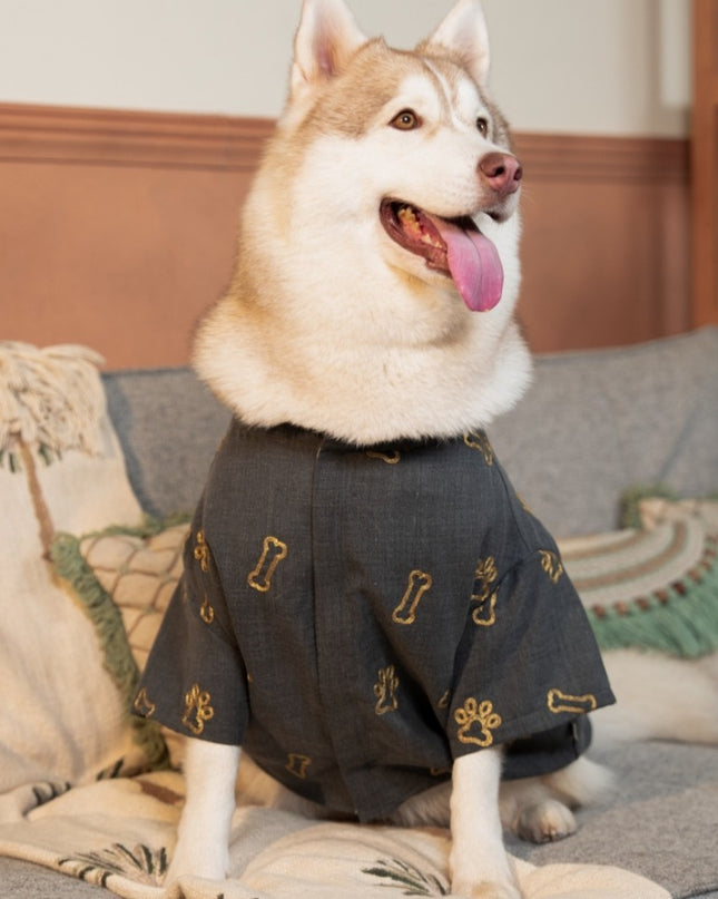 DESI DENIM DOG KURTA- GREY