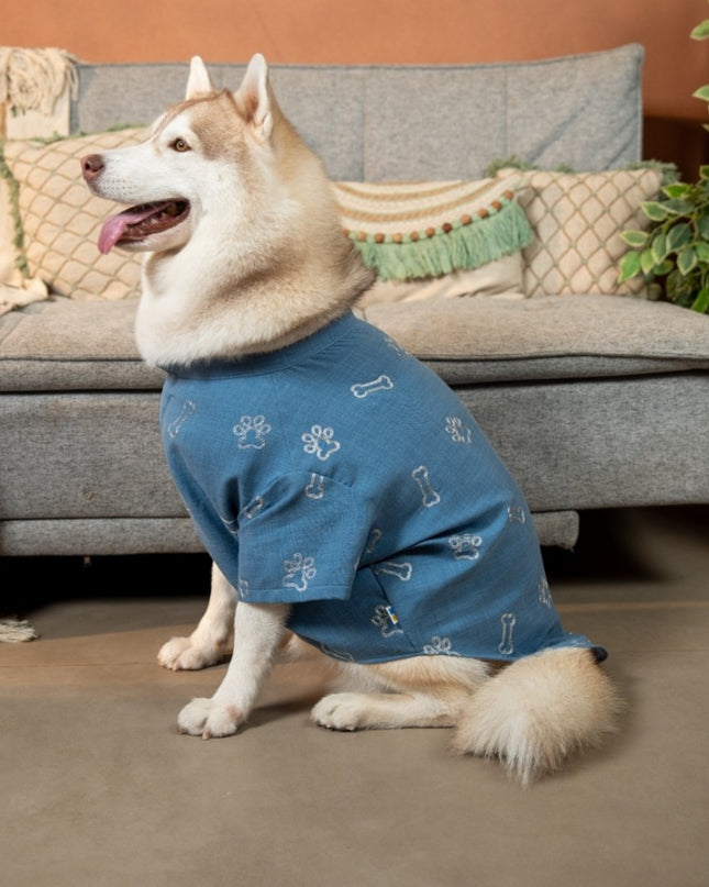 DESI DENIM DOG KURTA- BLUE