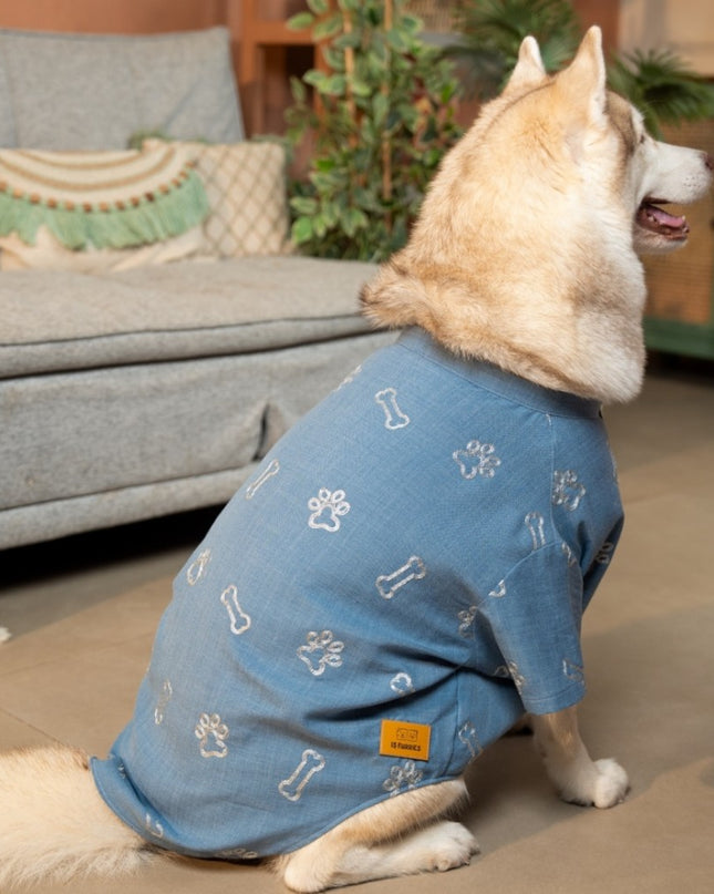 DESI DENIM DOG KURTA- BLUE