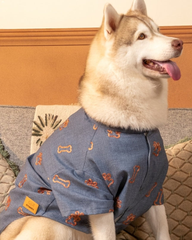 DESI DENIM DOG KURTA- INDIGO