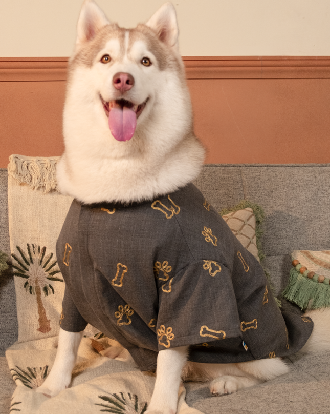 DESI DENIM DOG KURTA- GREY