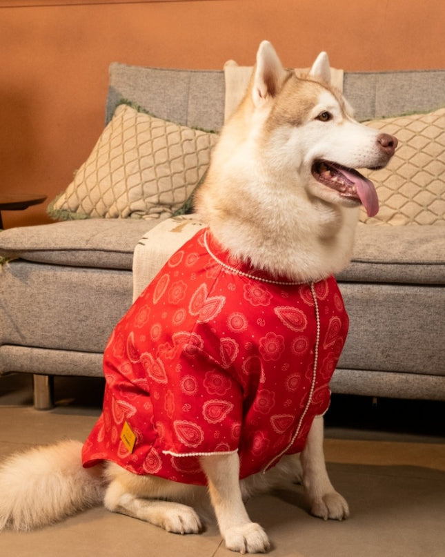 HEERA MOTI DOG KURTA