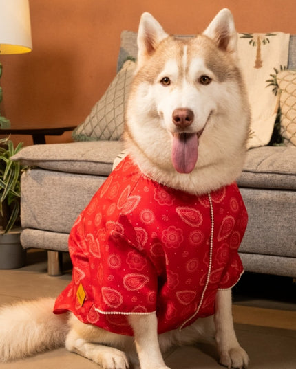 HEERA MOTI DOG KURTA