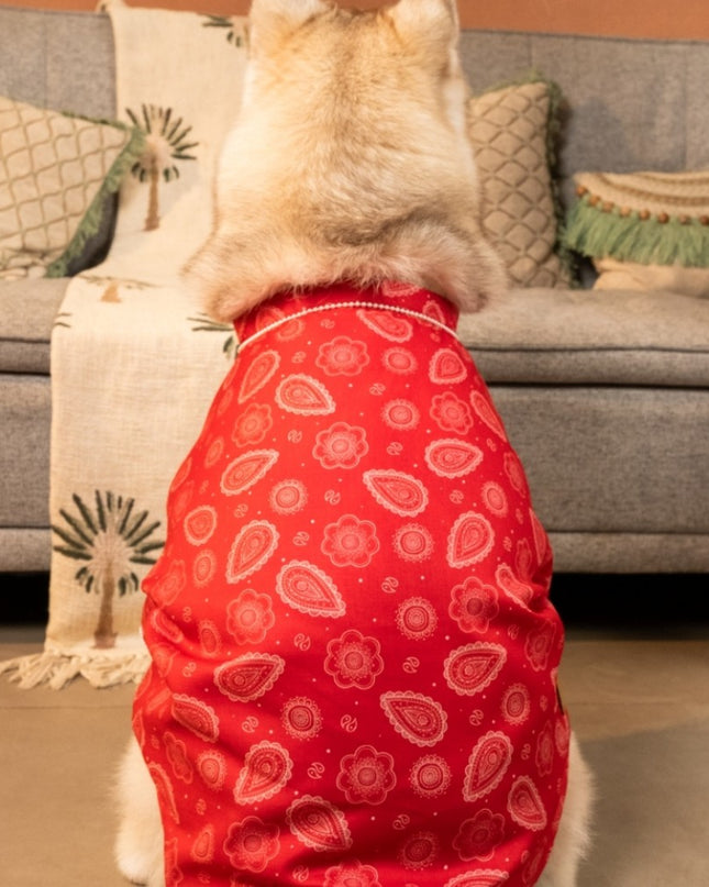 HEERA MOTI DOG KURTA