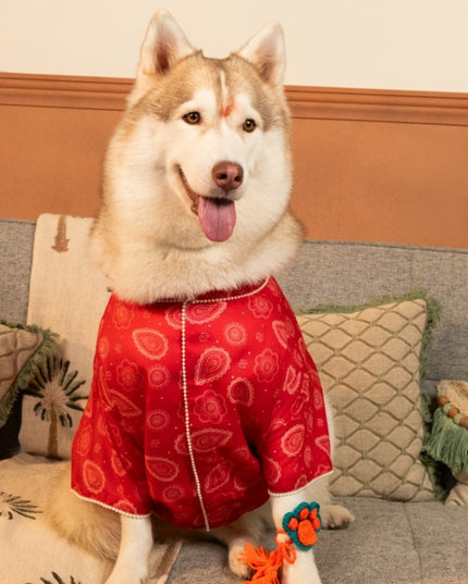 HEERA MOTI DOG KURTA