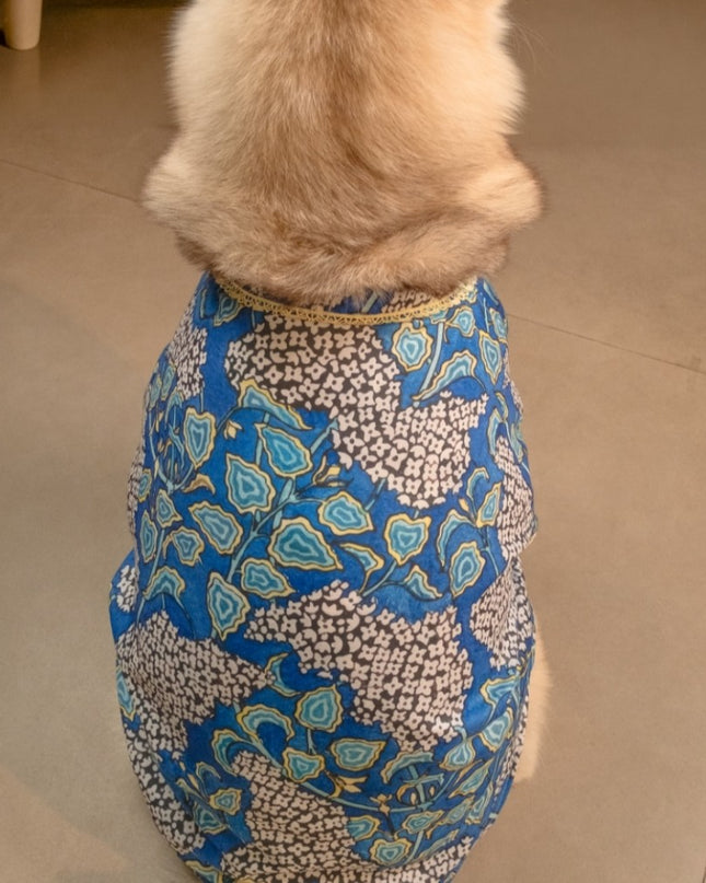 Shaan Dog Kurta