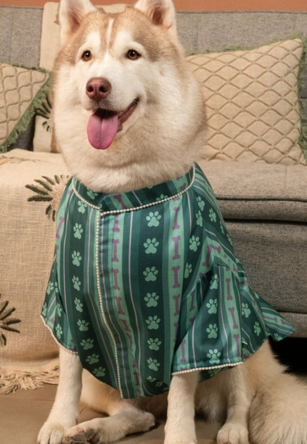 PAWRANG DOG KURTA