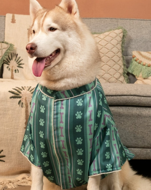 PAWRANG DOG KURTA