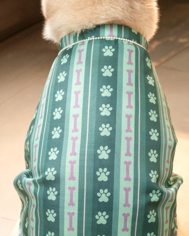 PAWRANG DOG KURTA