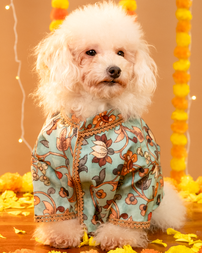 RANGREZ DOG KURTA