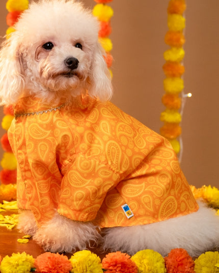 KESARIYA DOG KURTA