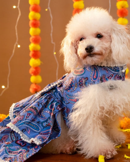 NOOR DOG LEHENGA