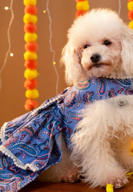 NOOR DOG LEHENGA