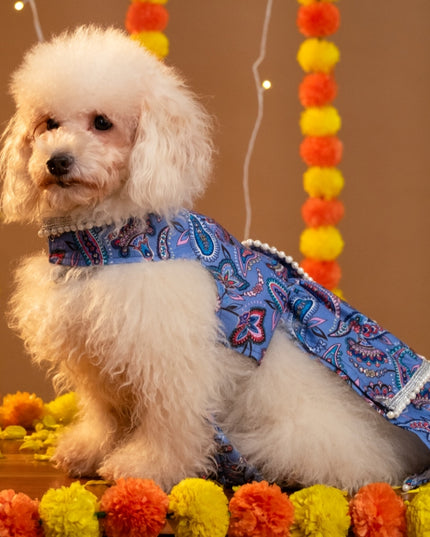 NOOR DOG LEHENGA