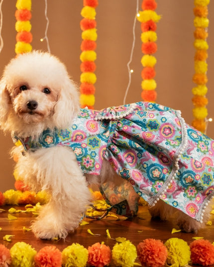 MUSKAAN DOG LEHENGA