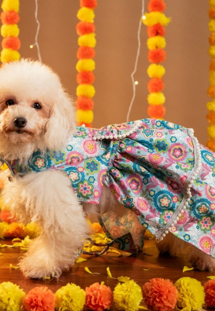 MUSKAAN DOG LEHENGA