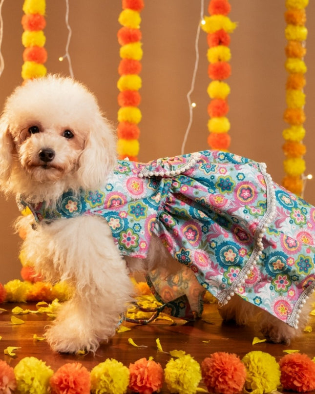 MUSKAAN DOG LEHENGA