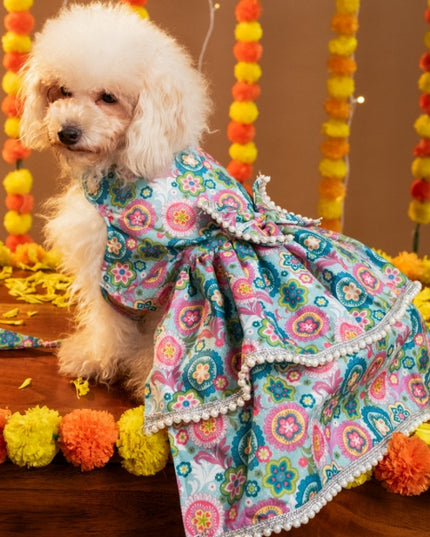 MUSKAAN DOG LEHENGA