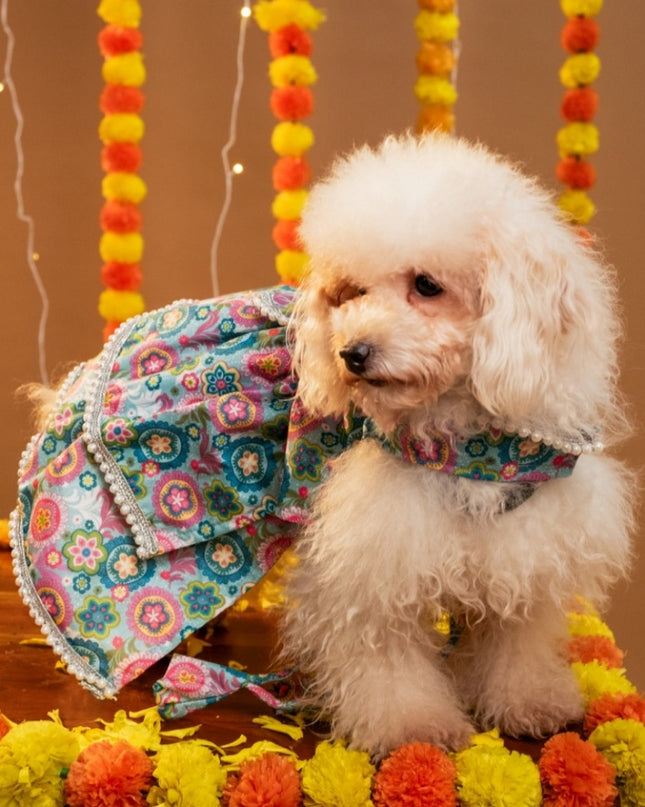 MUSKAAN DOG LEHENGA