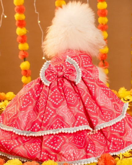 GULABO BANDHANI DOG LEHENGA