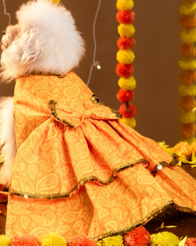 KESARIYA DOG LEHENGA