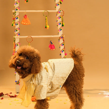 Collection image for: Dog Indian Kurtas