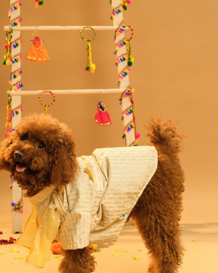 FURWALI FESTIVE DOG KURTA WITH DUPATTA- IVORY WHITE