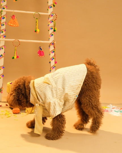 FURWALI FESTIVE DOG KURTA WITH DUPATTA- IVORY WHITE