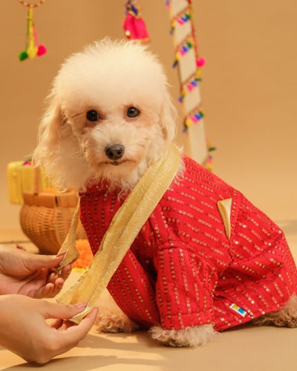 FURWALI FESTIVE DOG KURTA WITH DUPATTA- ROYAL RED