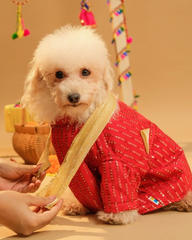 FURWALI FESTIVE DOG KURTA WITH DUPATTA- ROYAL RED