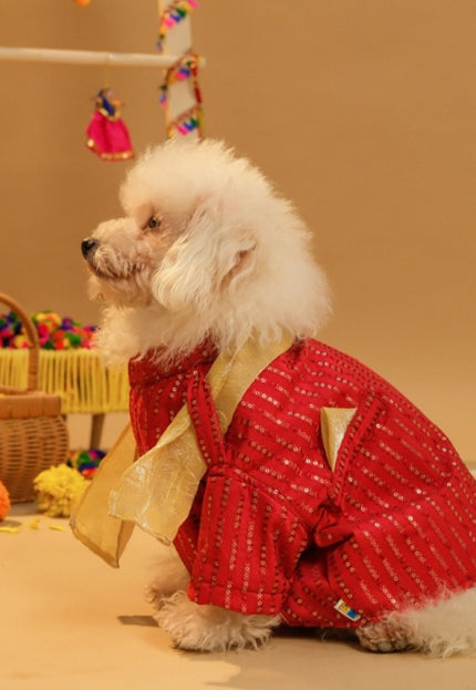 FURWALI FESTIVE DOG KURTA WITH DUPATTA- ROYAL RED