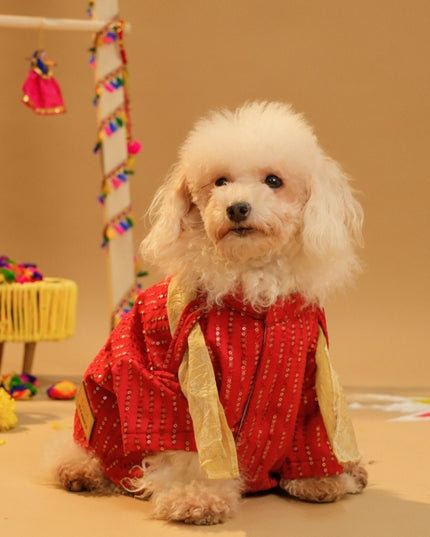 FURWALI FESTIVE DOG KURTA WITH DUPATTA- ROYAL RED