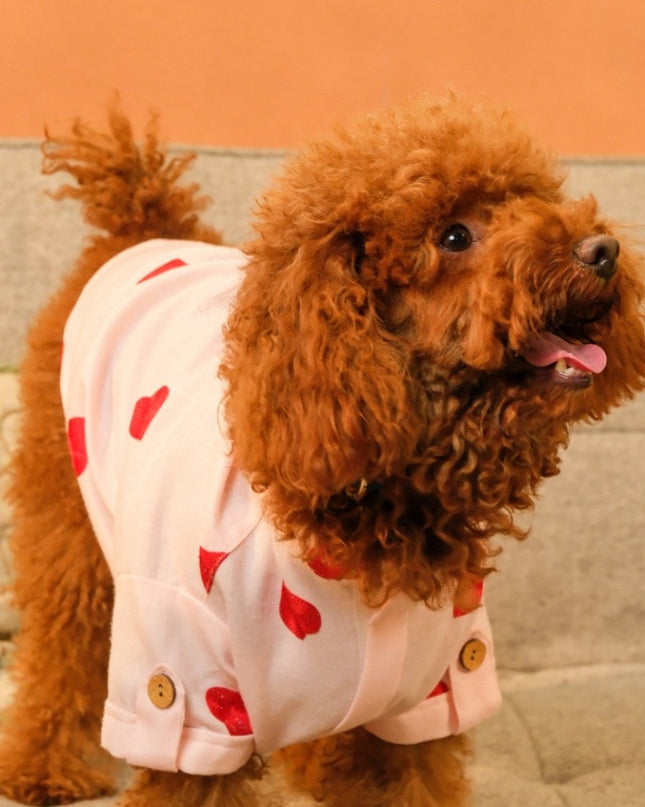 LINEN HEART EMBROIDERY DOG KURTA- BABY PINK