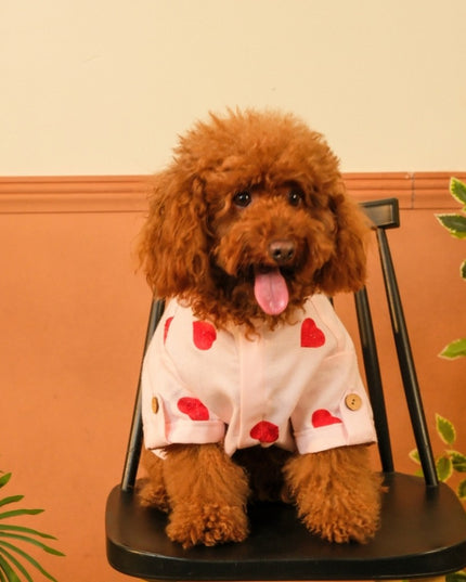 LINEN HEART EMBROIDERY DOG KURTA- BABY PINK