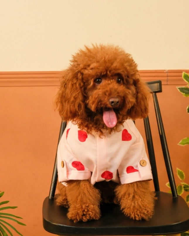 LINEN HEART EMBROIDERY DOG KURTA- BABY PINK