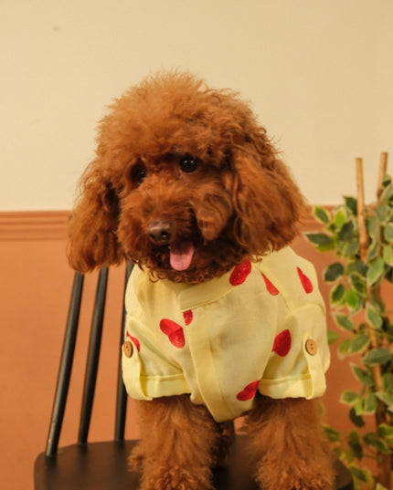 HEART EMBROIDERY DOG KURTA- LEMON YELLOW
